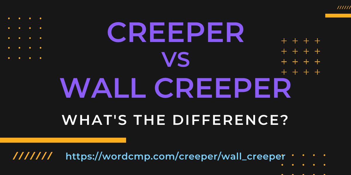 Difference between creeper and wall creeper