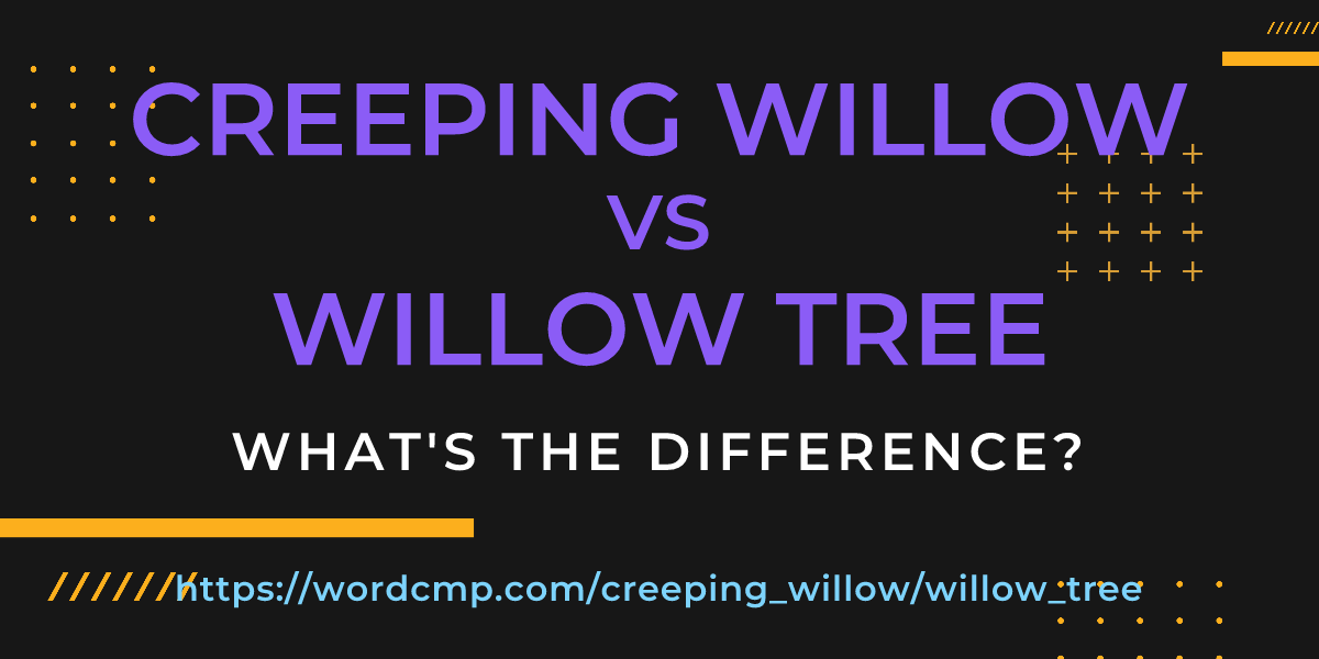 Difference between creeping willow and willow tree
