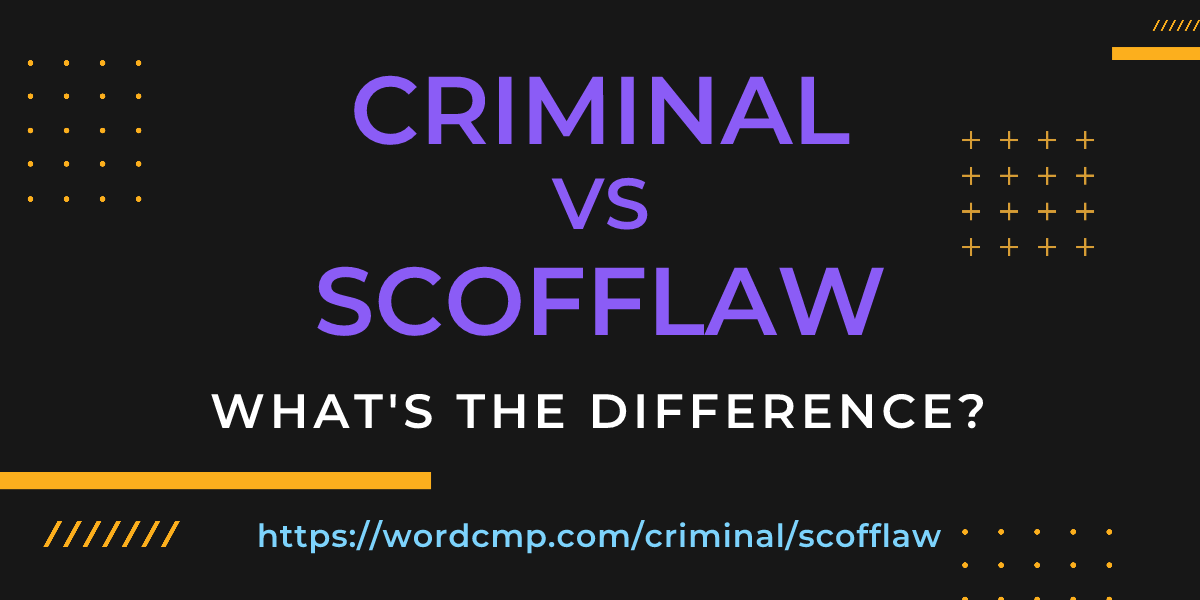 Difference between criminal and scofflaw