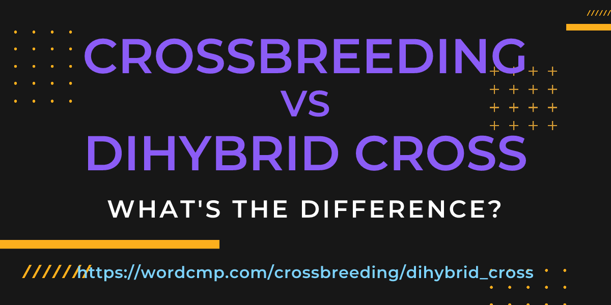 Difference between crossbreeding and dihybrid cross