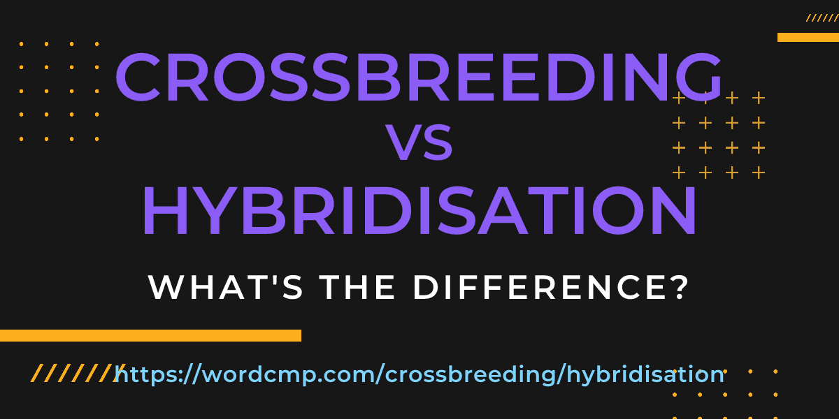 Difference between crossbreeding and hybridisation