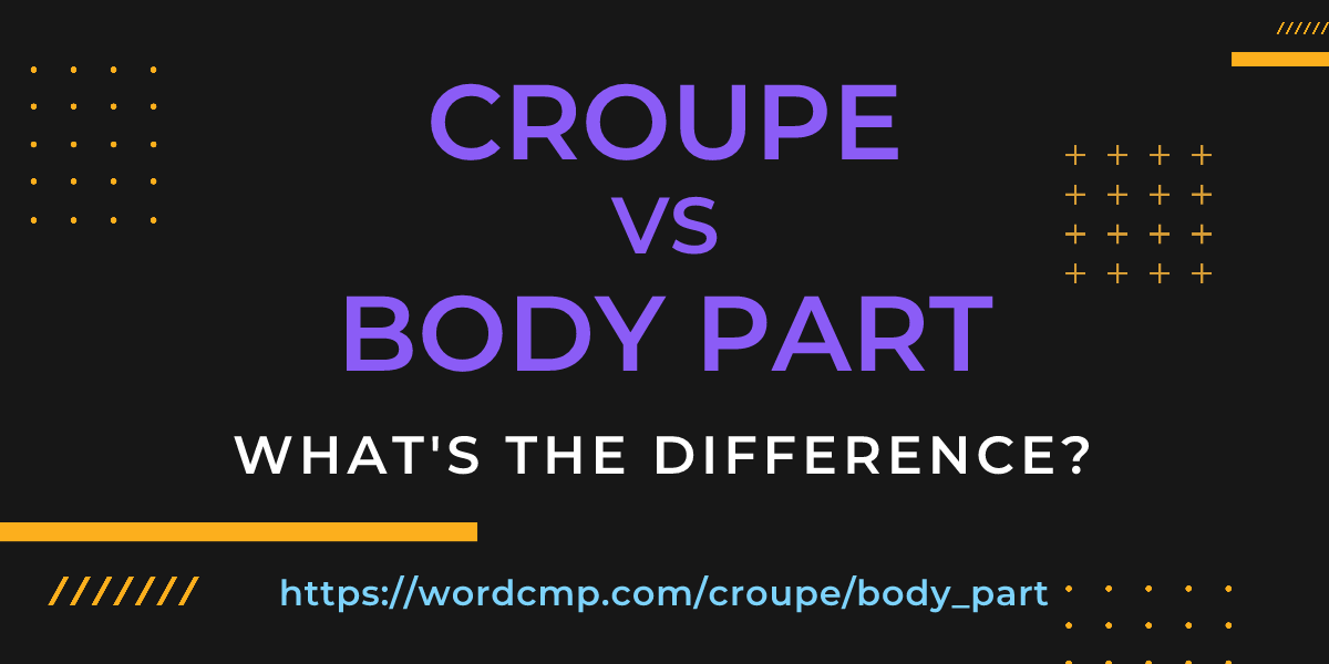Difference between croupe and body part