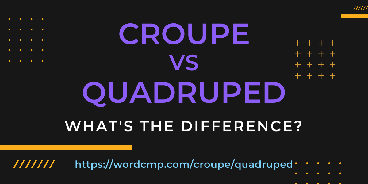 Difference between croupe and quadruped