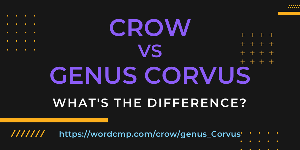 Difference between crow and genus Corvus