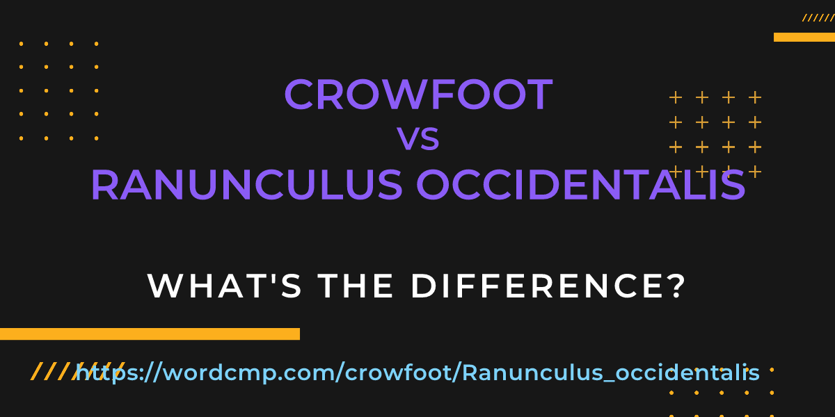 Difference between crowfoot and Ranunculus occidentalis