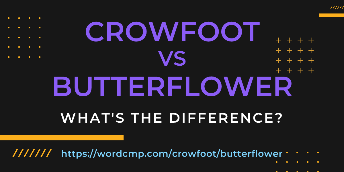 Difference between crowfoot and butterflower