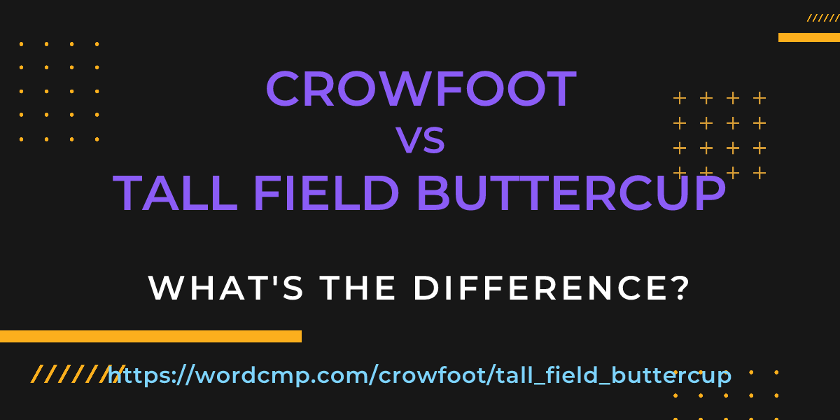 Difference between crowfoot and tall field buttercup