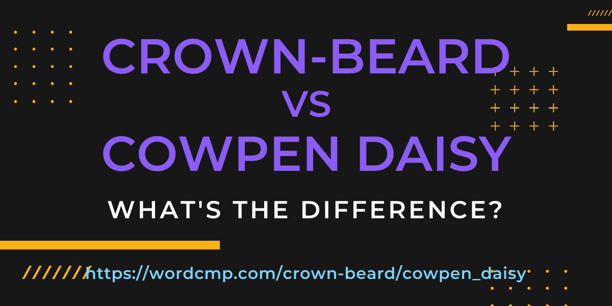 Difference between crown-beard and cowpen daisy