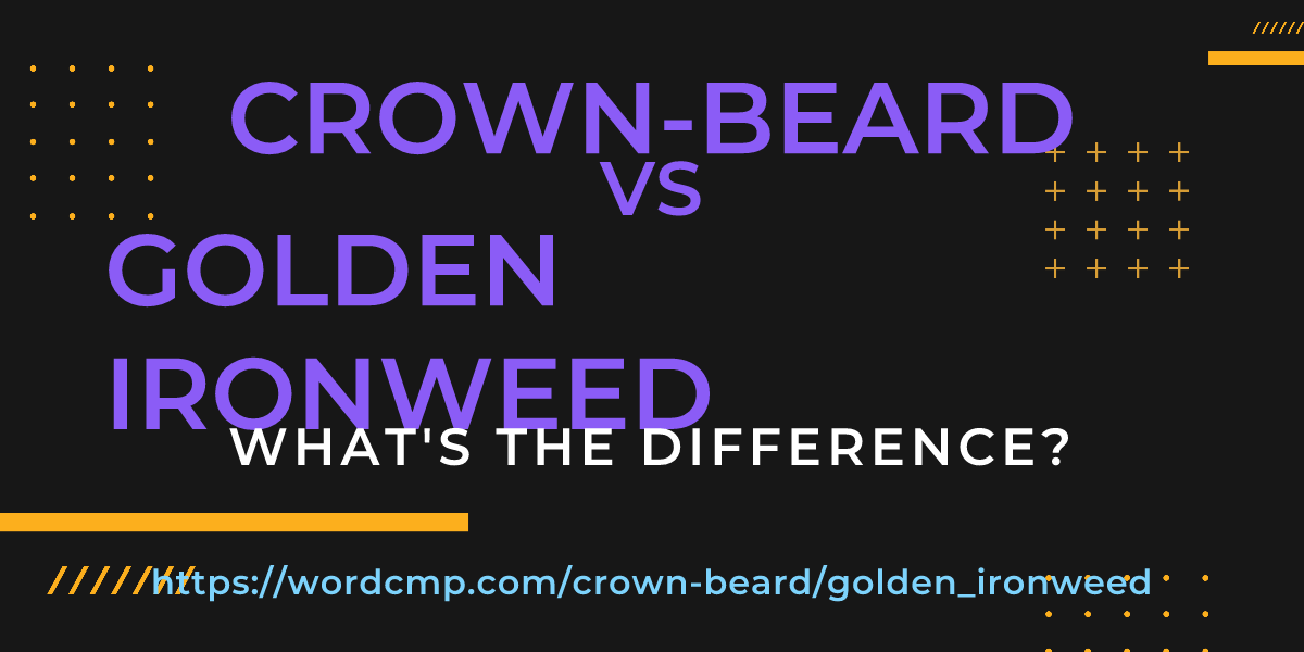 Difference between crown-beard and golden ironweed