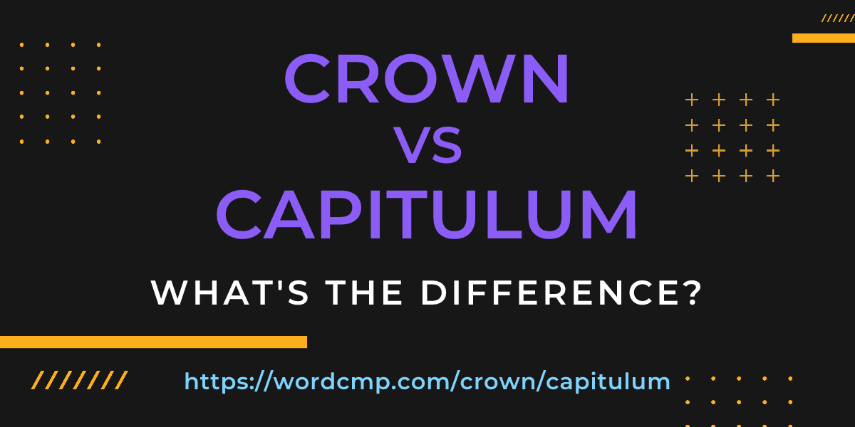 Difference between crown and capitulum