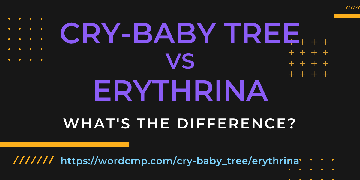 Difference between cry-baby tree and erythrina