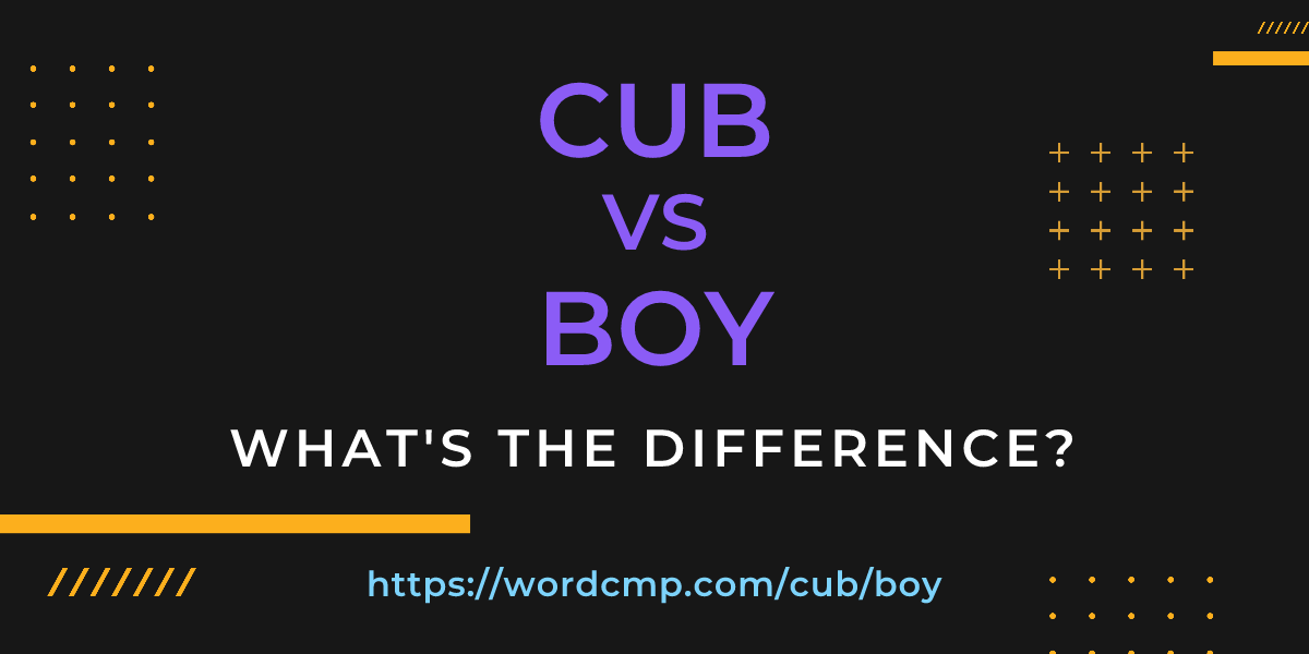 Difference between cub and boy