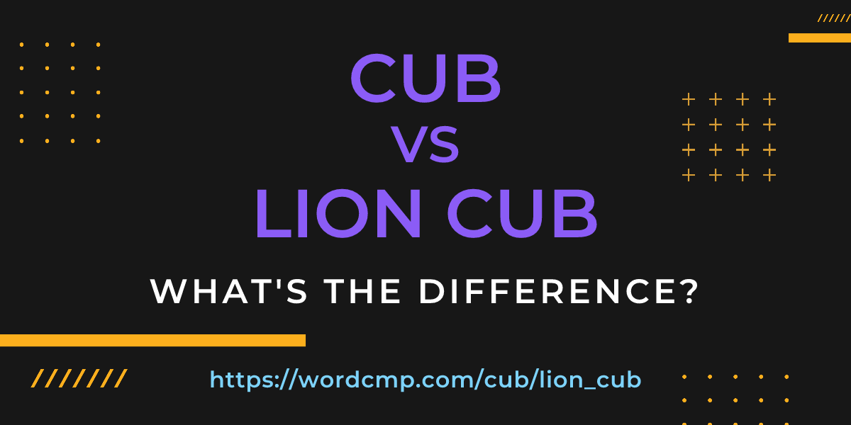 Difference between cub and lion cub