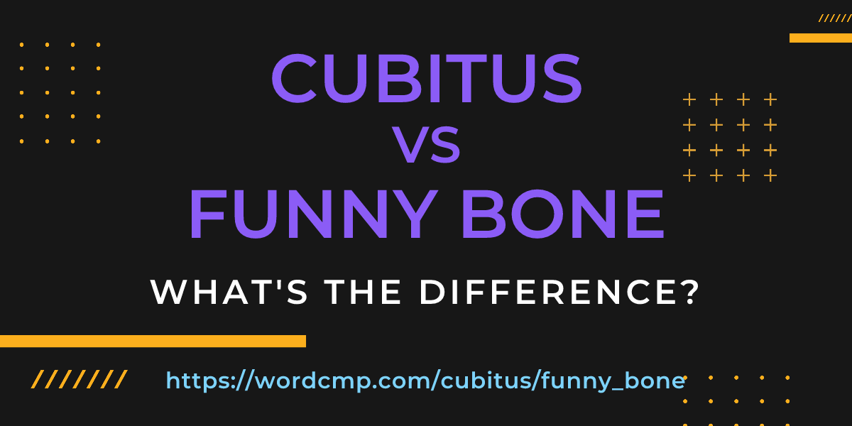 Difference between cubitus and funny bone