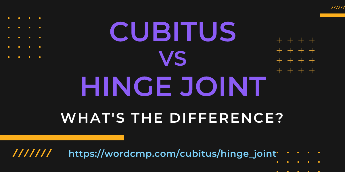 Difference between cubitus and hinge joint