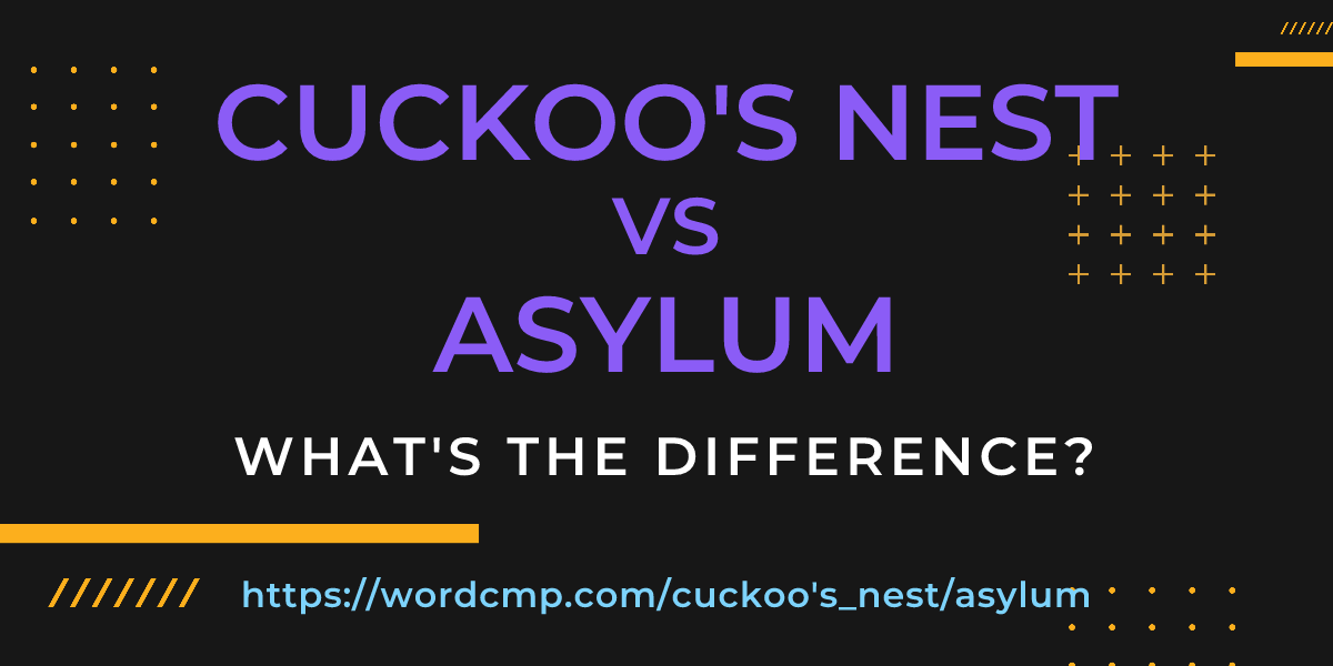 Difference between cuckoo's nest and asylum