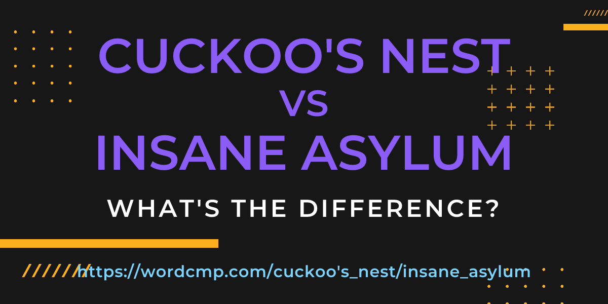 Difference between cuckoo's nest and insane asylum