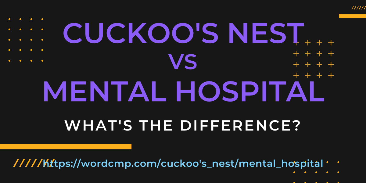 Difference between cuckoo's nest and mental hospital