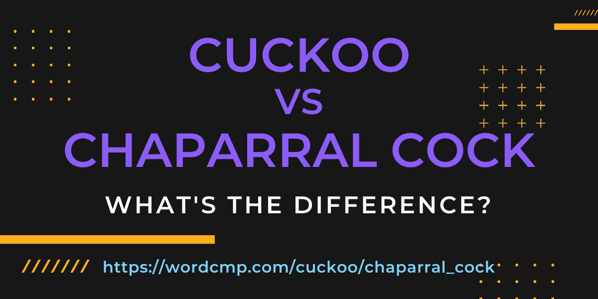 Difference between cuckoo and chaparral cock