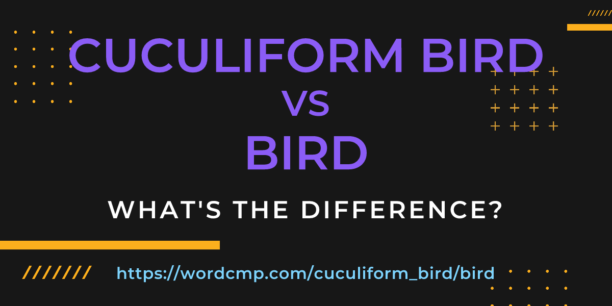 Difference between cuculiform bird and bird