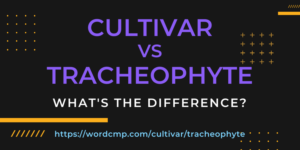 Difference between cultivar and tracheophyte
