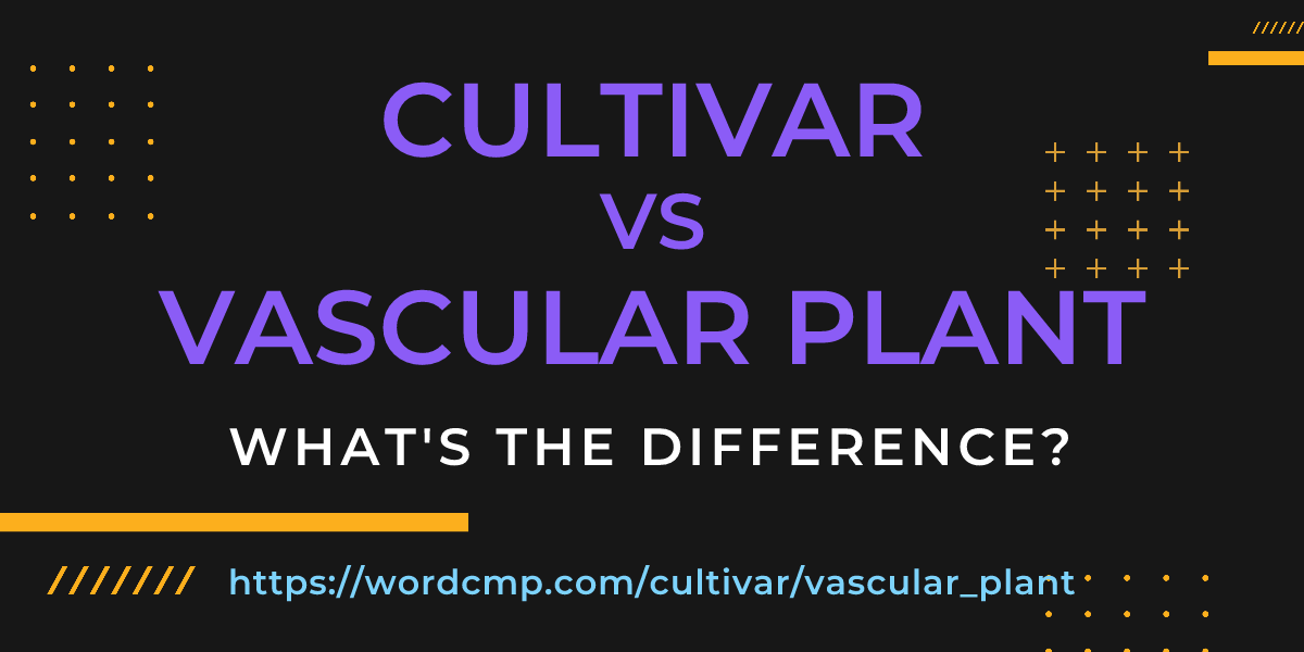 Difference between cultivar and vascular plant