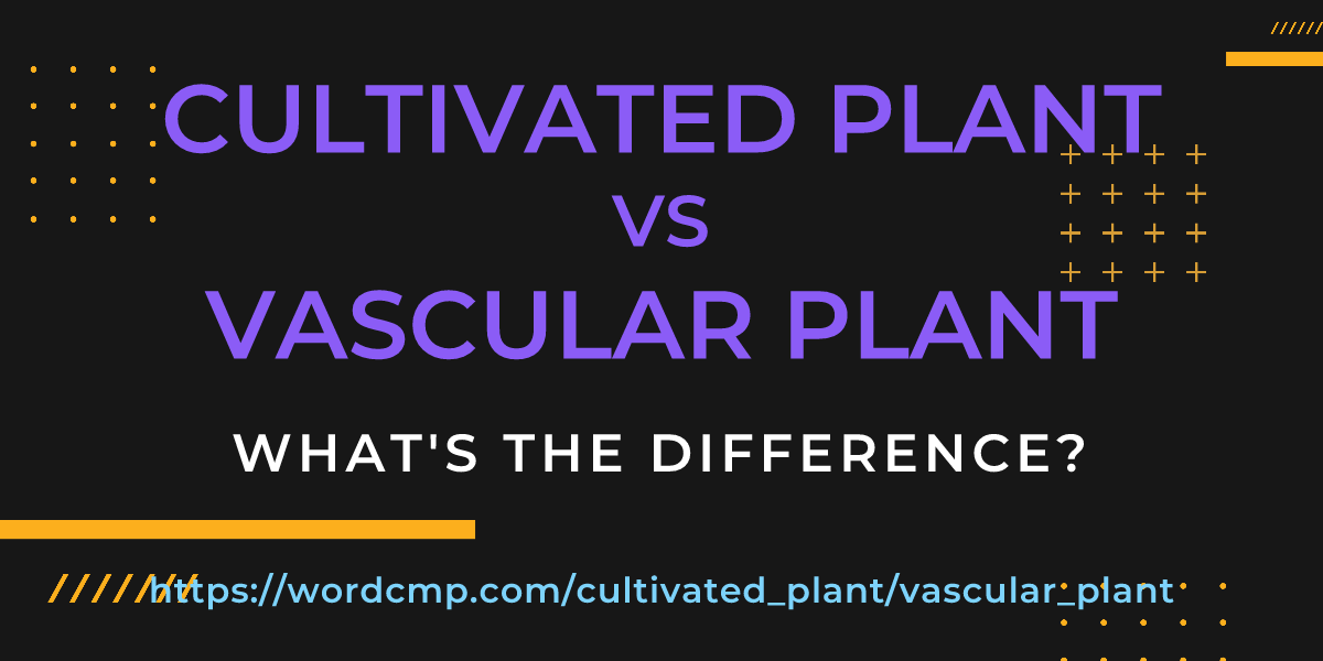 Difference between cultivated plant and vascular plant