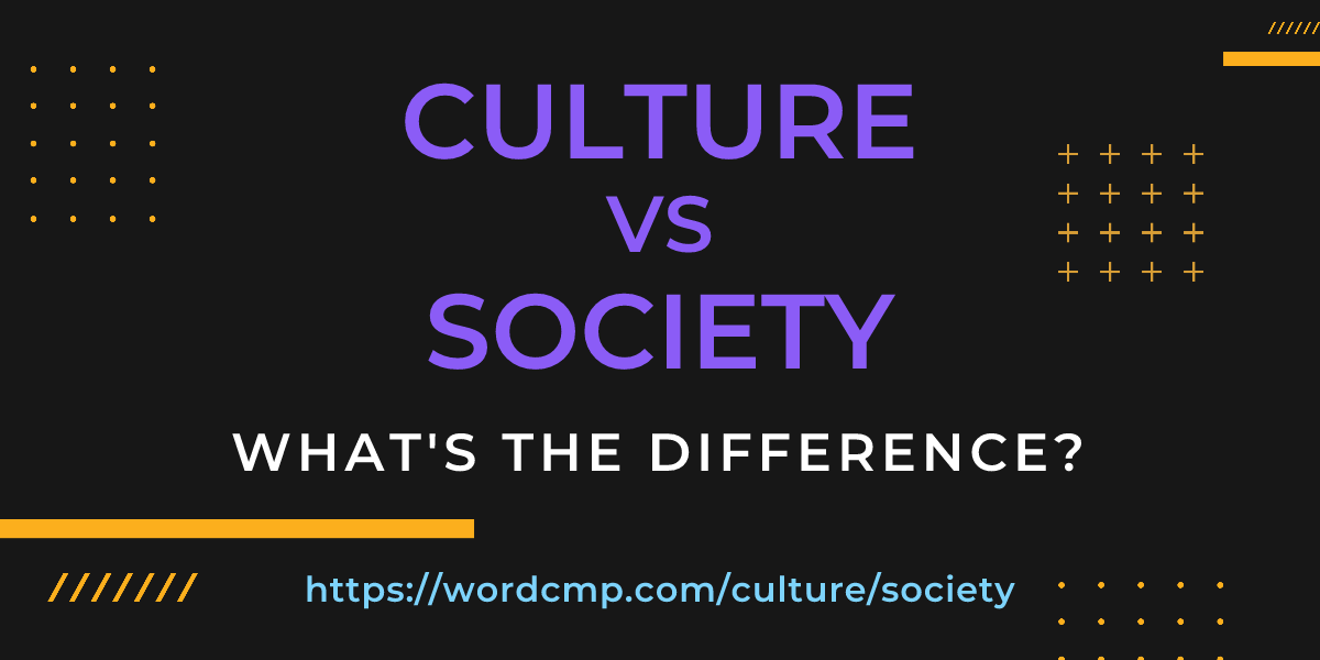 Difference between culture and society