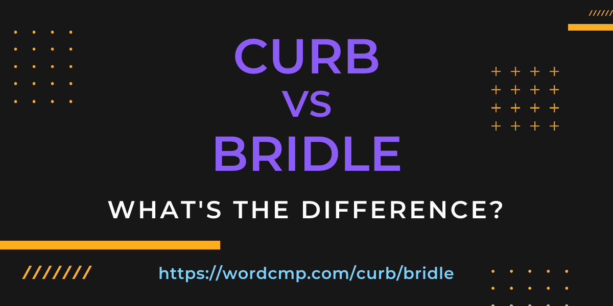 Difference between curb and bridle