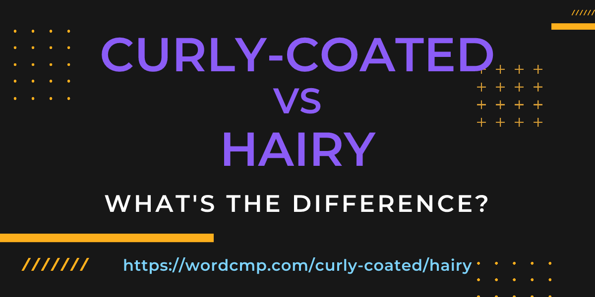 Difference between curly-coated and hairy