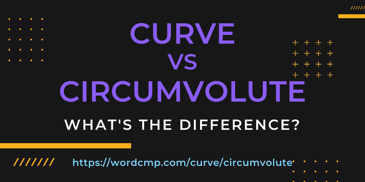Difference between curve and circumvolute
