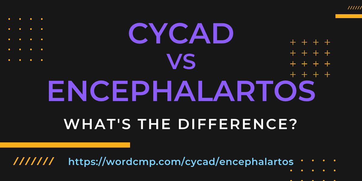 Difference between cycad and encephalartos