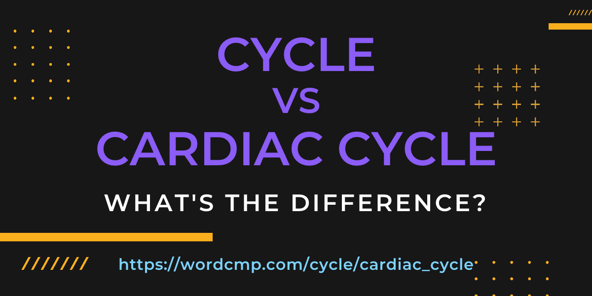 Difference between cycle and cardiac cycle