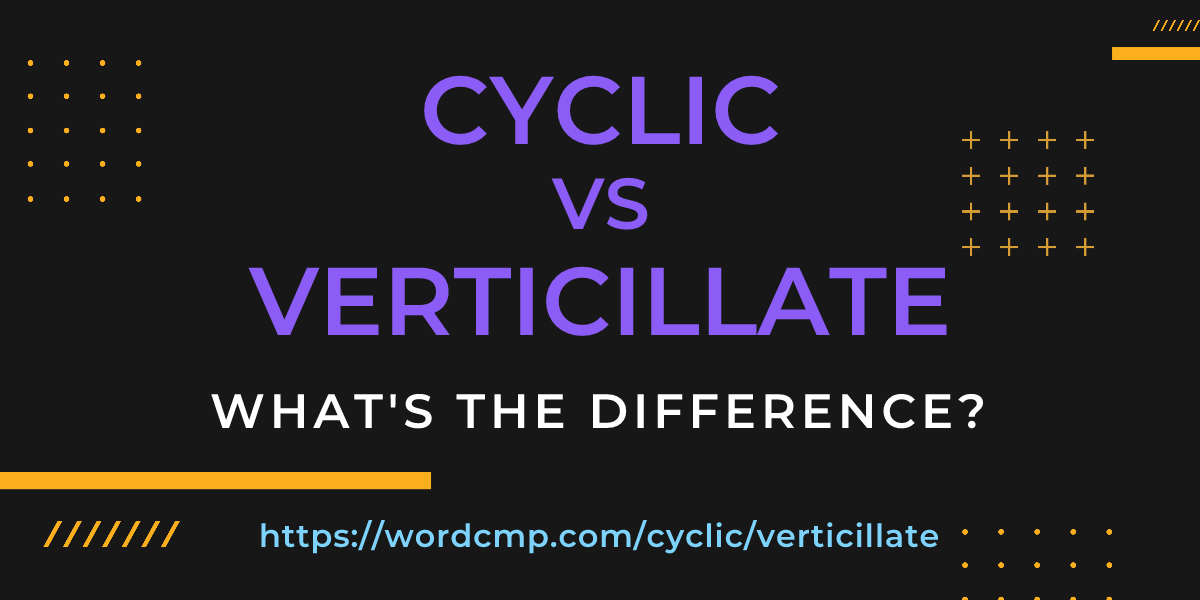 Difference between cyclic and verticillate