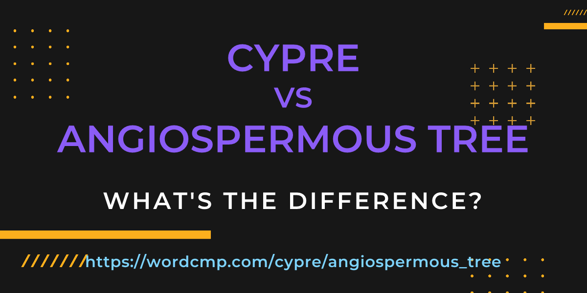 Difference between cypre and angiospermous tree