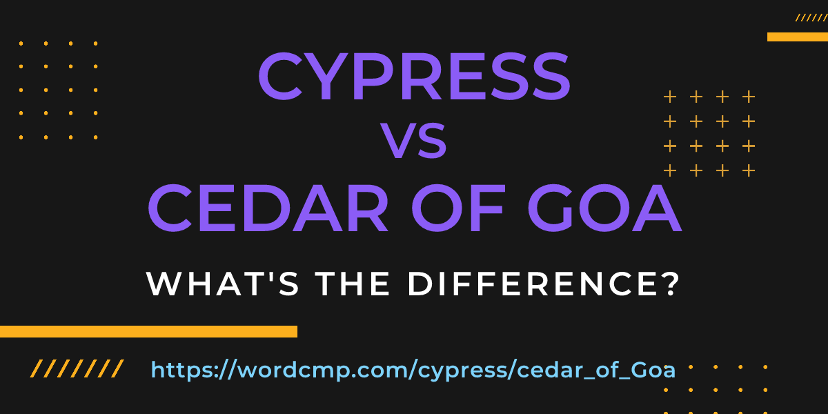 Difference between cypress and cedar of Goa