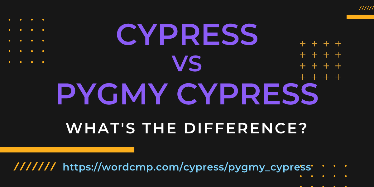 Difference between cypress and pygmy cypress