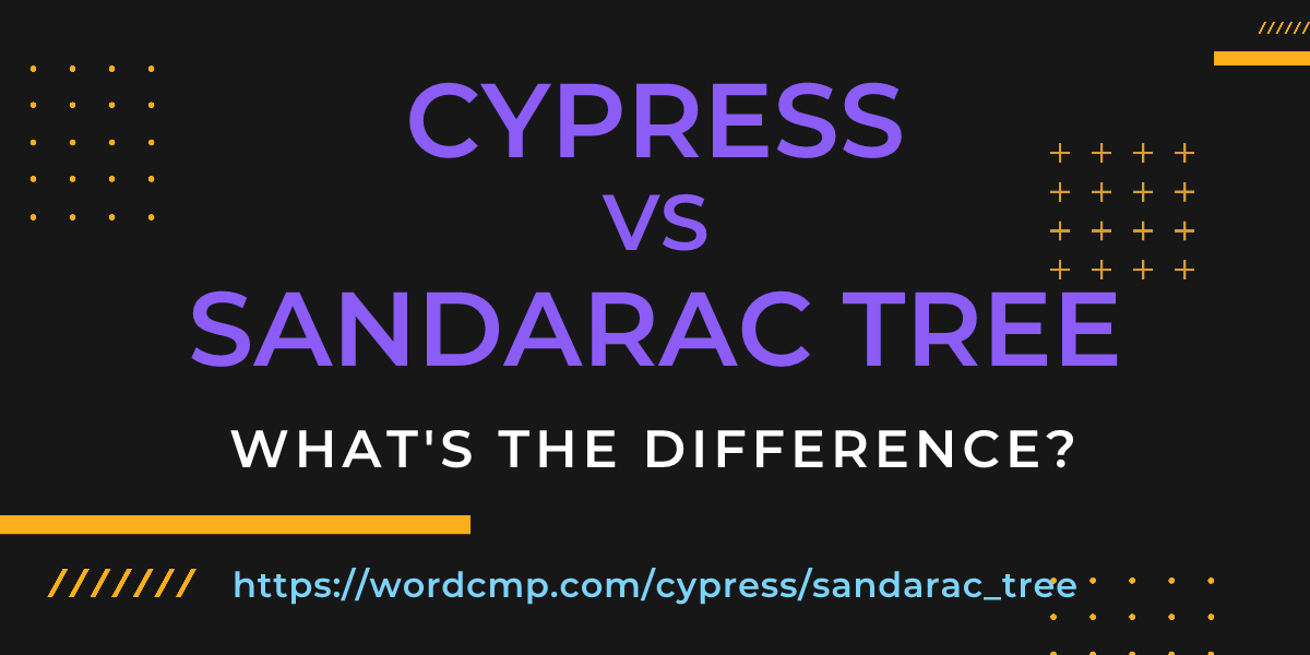 Difference between cypress and sandarac tree