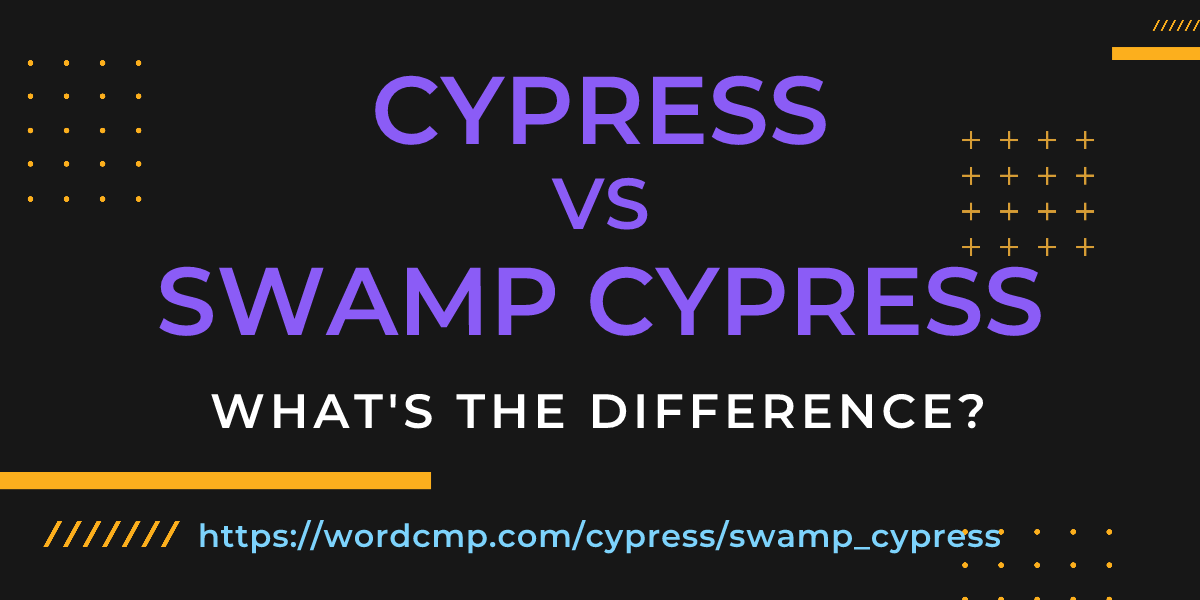 Difference between cypress and swamp cypress