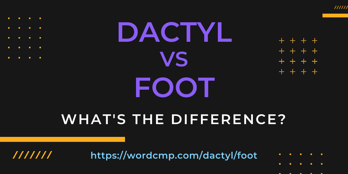 Difference between dactyl and foot