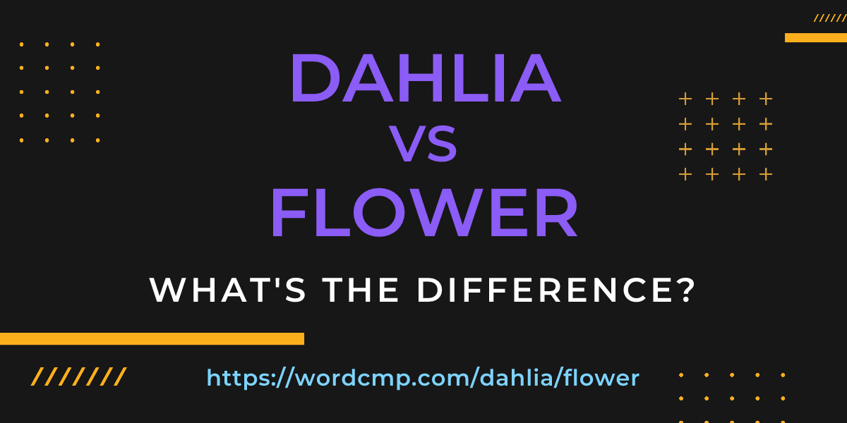 Difference between dahlia and flower