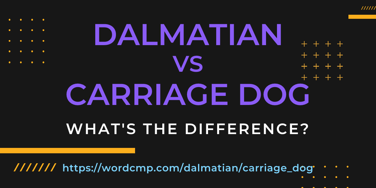 Difference between dalmatian and carriage dog