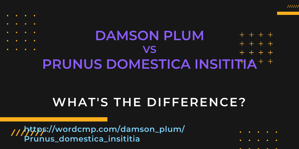 Difference between damson plum and Prunus domestica insititia