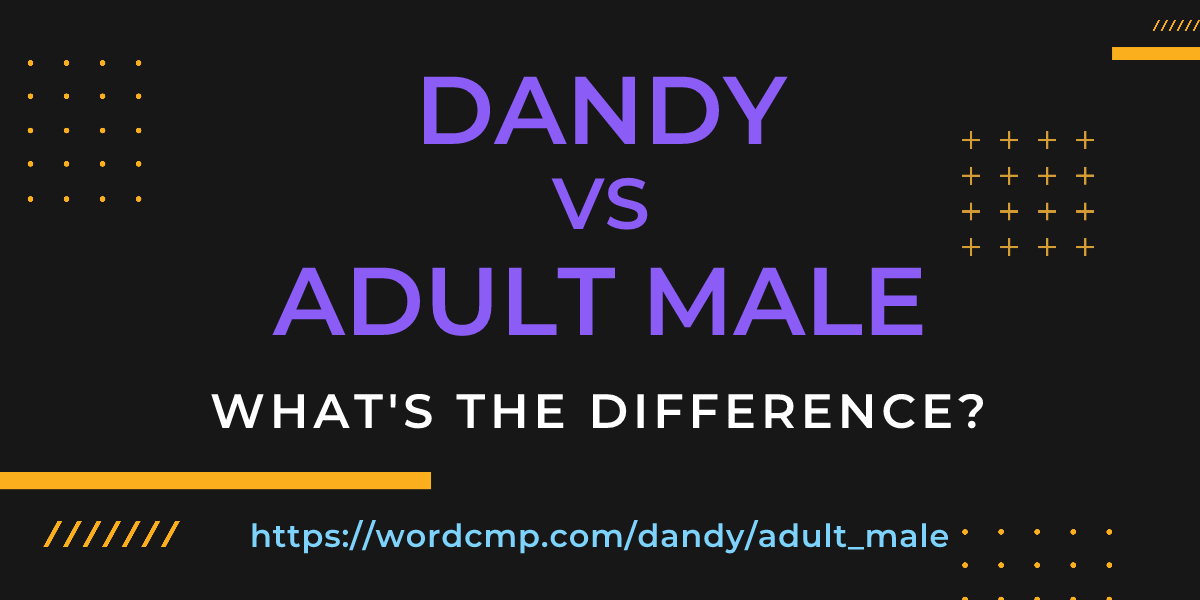 Difference between dandy and adult male