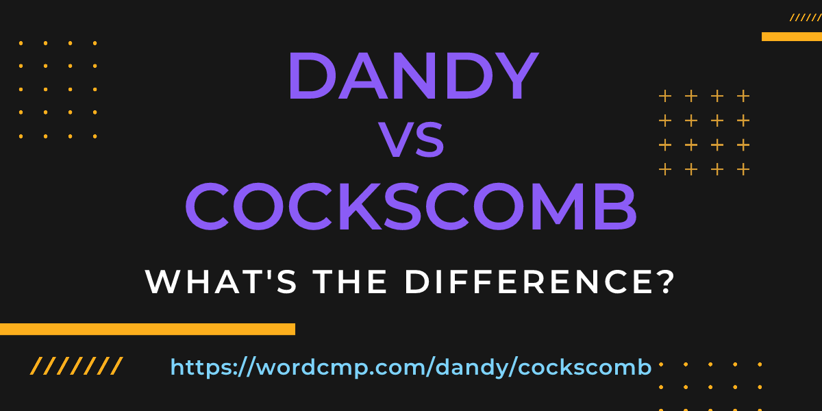 Difference between dandy and cockscomb