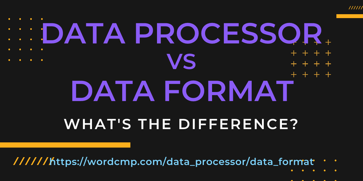 Difference between data processor and data format