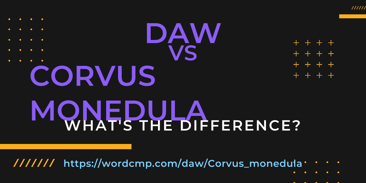 Difference between daw and Corvus monedula