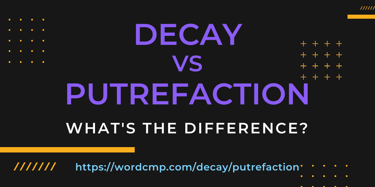 Difference between decay and putrefaction