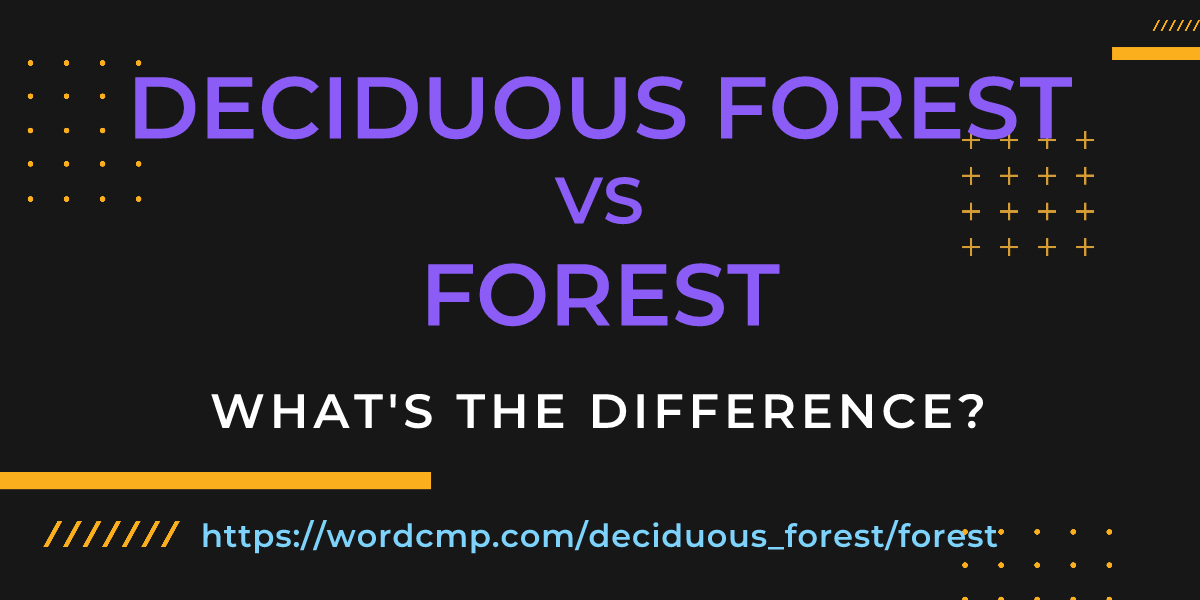 Difference between deciduous forest and forest