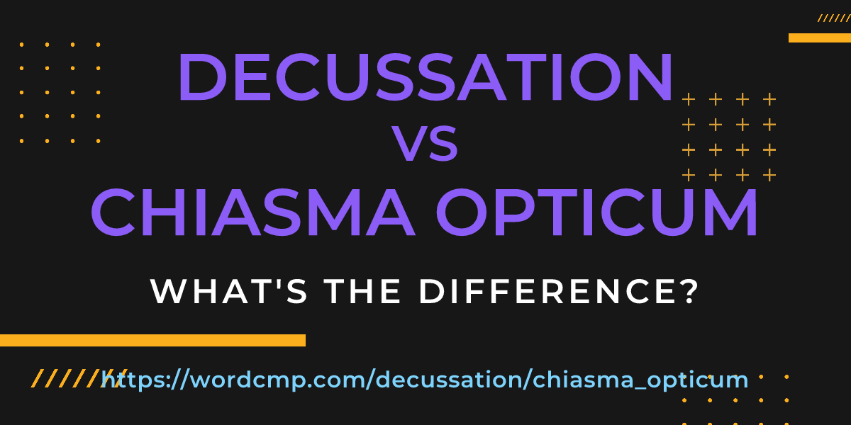 Difference between decussation and chiasma opticum